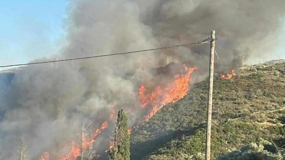 Ανεξέλεγκτη η φωτιά στα Μεσοχώρια Ευβοίας: Δύσκολη νύχτα στο πύρινο μέτωπο - Απειλούν σπίτια οι φλόγες