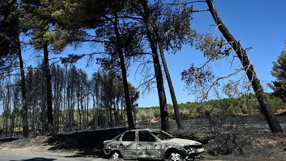 Πώς επηρέασαν οι καθαρισμοί των οικοπέδων την εξέλιξη των πρόσφατων πυρκαγιών στην Αττική