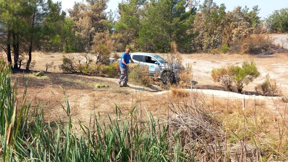 Δράσεις προστασίας της άγριας πανίδας σε Πάρνηθα και Έβρο από τον ΟΦΥΠΕΚΑ
