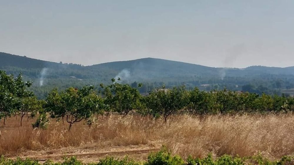 Φωτογραφίες ντοκουμέντο από τις απόπειρες εμπρησμού στον Αυλώνα