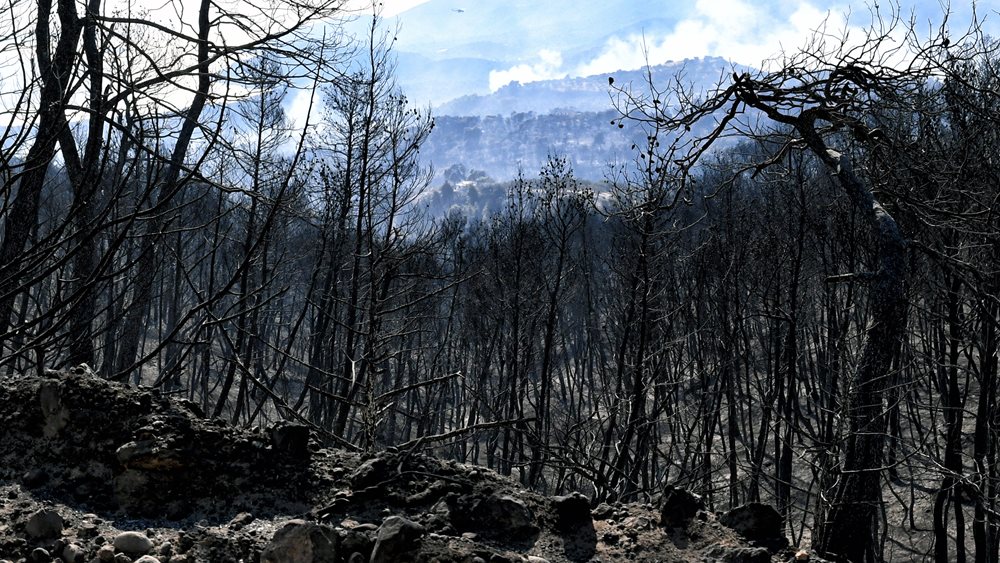 Φωτιά στις Κεχριές: ''Η κατάσταση δεν ελέγχεται'' λέει ο δήμαρχος