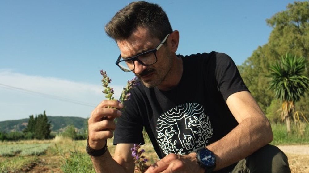 Ελληνικά βότανα σε κάψουλες εσπρέσο: Η start up ιδέα που βραβεύτηκε