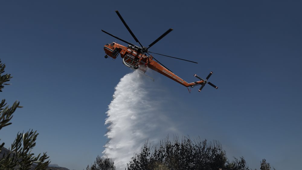 Θεσσαλονίκη. Υπό μερικό έλεγχο η πυρκαγιά σε δασική έκταση στο Πανόραμα Δράμας