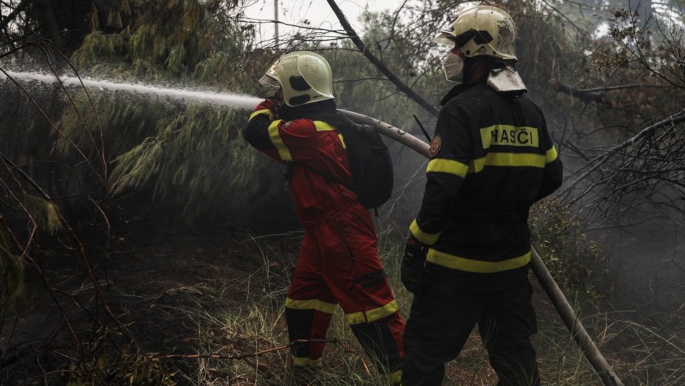 Πυρκαγιά στην περιοχή Δρυάλια Λακωνίας - Δεν απειλούνται κατοικημένες περιοχές