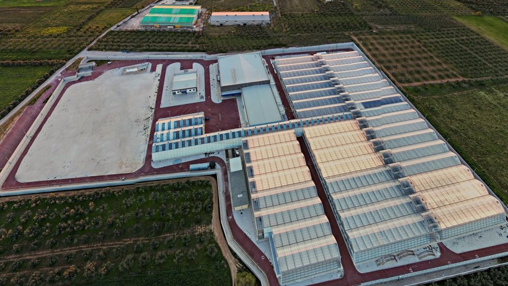 Έναρξη Εξαγωγών από την Tikun Olam Ελλάδος
