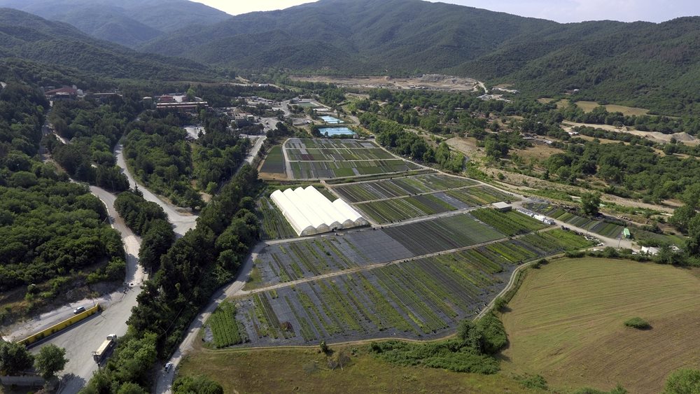 Έως €10 εκατ. σχεδιάζει να επενδύσει στο Στρατώνι φέτος η Ελληνικός Χρυσός