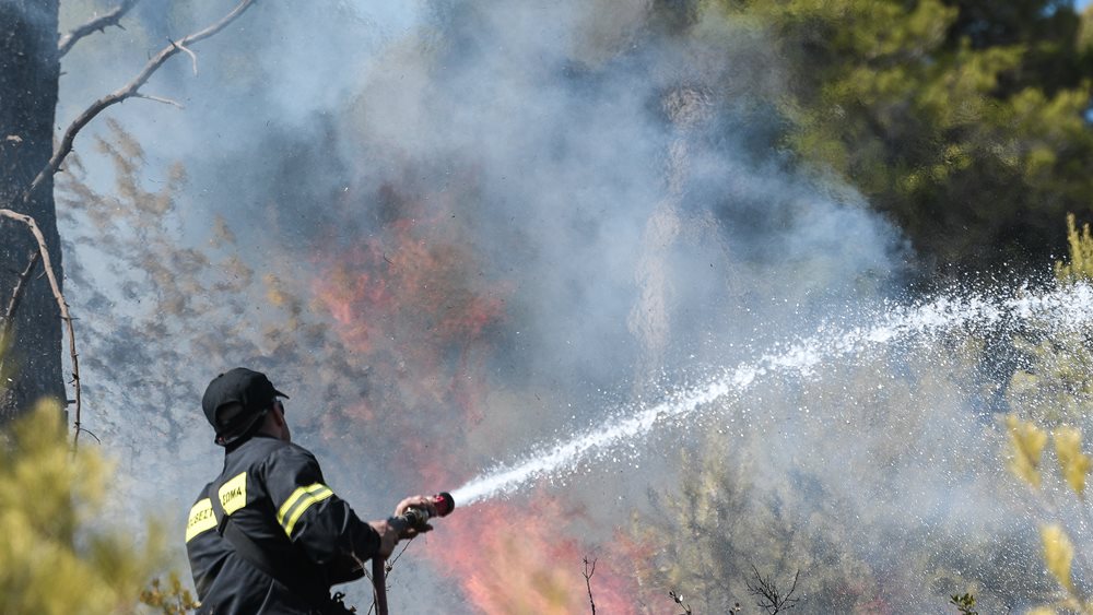Fire breaks out in Vravrona; set under partial control