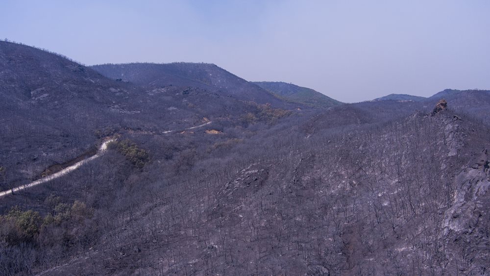 Παράταση στην υποβολή φορολογικών δηλώσεων για τους κατοίκους περιοχών του Έβρου