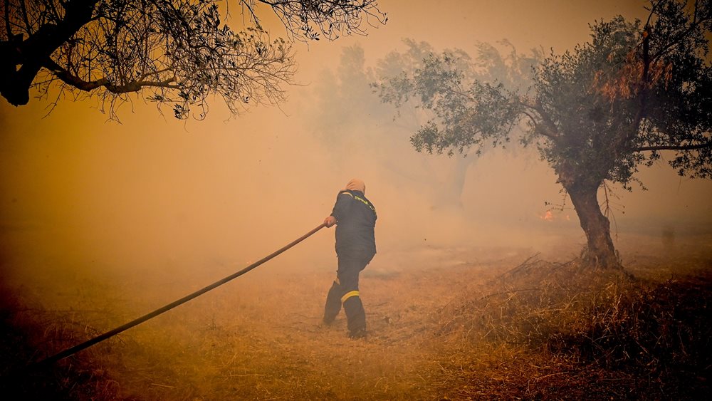 Φωτιά στην Ανατολική Αττική: Πληροφορίες ότι η πυρκαγιά ξεκίνησε από βραχυκύκλωμα σε κολώνα της ΔΕΗ