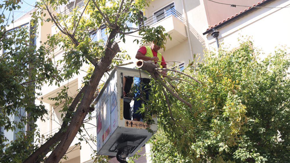 Πτώση δέντρου στην Ερμού λόγω των ισχυρών ανέμων