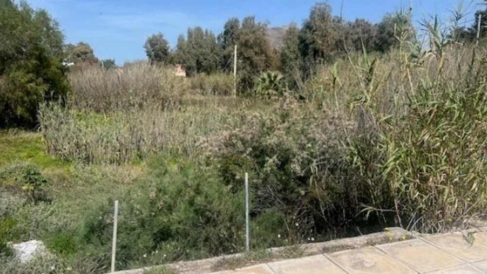 Πλειστηριασμοί: Έρχεται νέο &quot;βαρύ&quot; σφυρί για την οικογένεια Αγούδημου