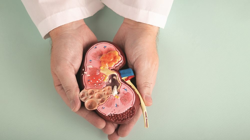 Η έρευνα στις μεταμοσχεύσεις προχωρά: Πού βρισκόμαστε