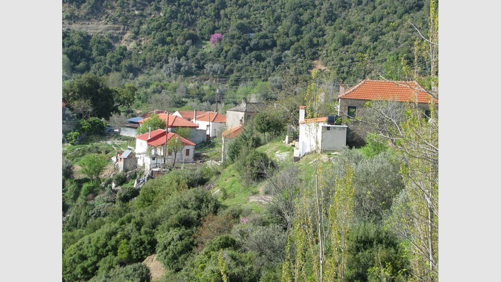 Αυξάνονται οι αιτήσεις για τα καταπατημένα - Σε 3 μήνες υποβλήθηκαν 4.500