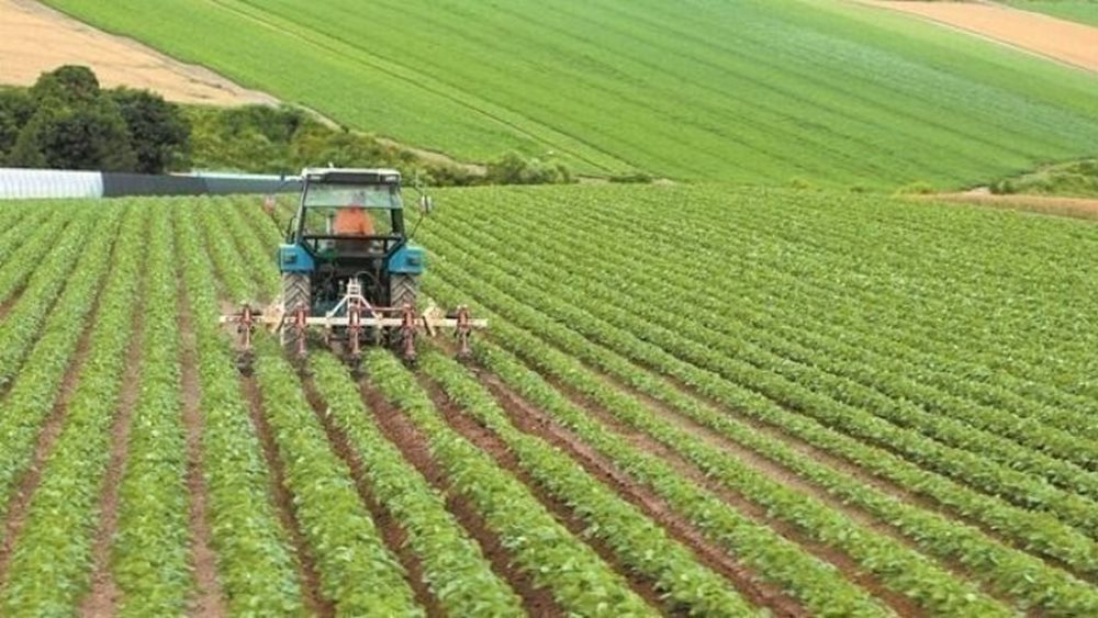 Ενεργοποιείται το Ταμείο Μικρών Δανείων Αγροτικής Επιχειρηματικότητας, με προϋπολογισμό 61,5 εκατ. ευρώ