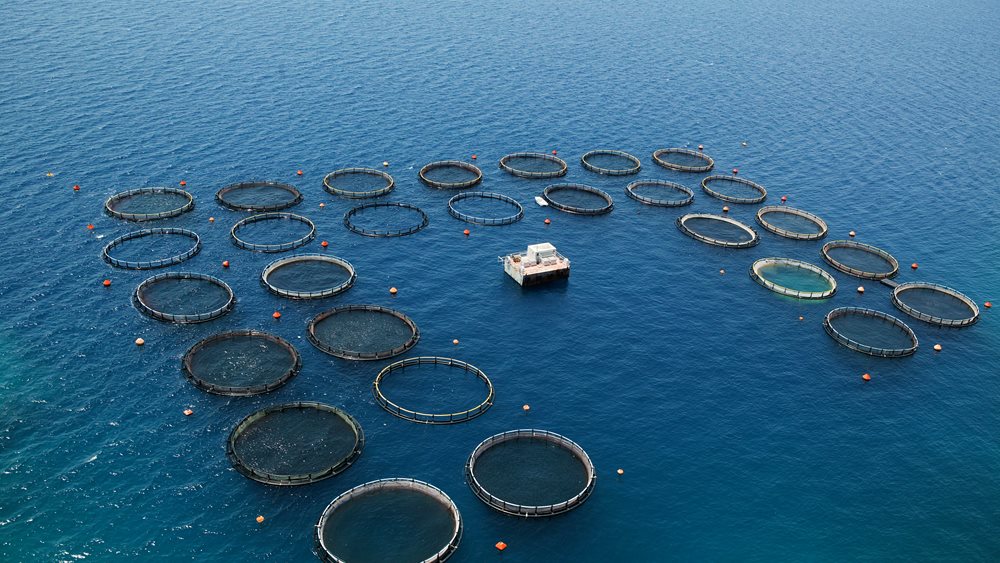 Προχωρά το Project Nemo, τι χάνουν Νηρέας - Σελόντα