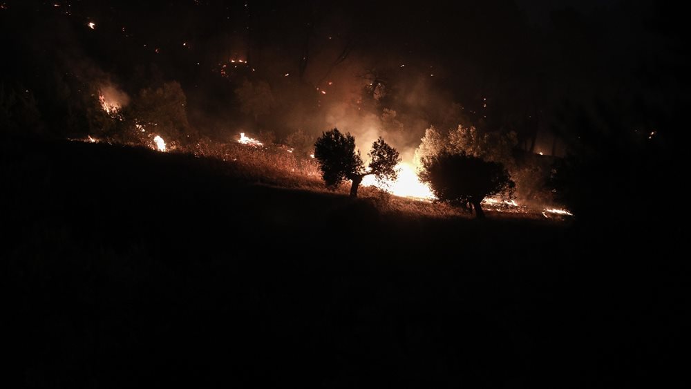 Φωτιά στη Ρόδο: Προσαγωγή ενός ατόμου για ενδεχόμενη εμπλοκή του - Διαψεύδει ο εκπρόσωπος της Πυροσβεστικής