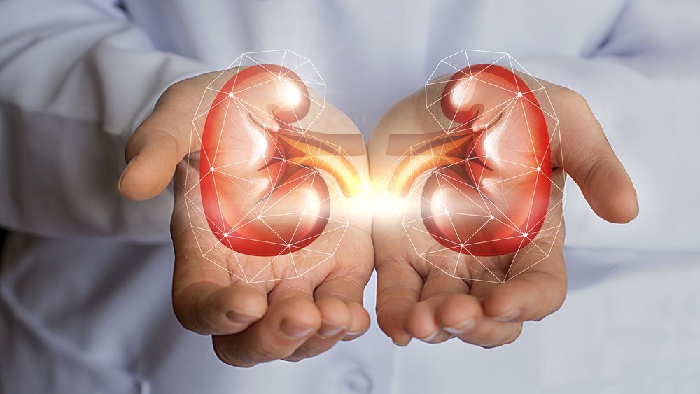 Καρκίνος του νεφρού: Τα συμπτώματα, οι παράγοντες κινδύνου και η νέα θεραπεία