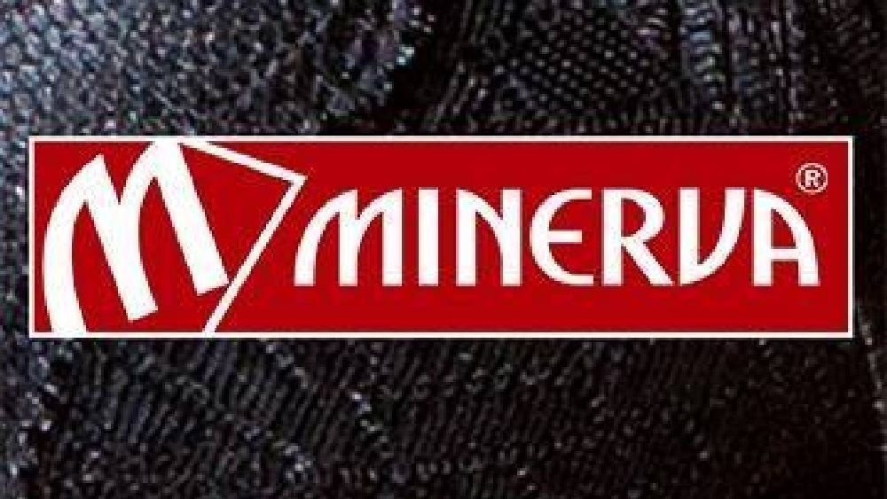Minerva: Στο 6,697% το ποσοστό της Χρυσούλας Ανεζουλάκη
