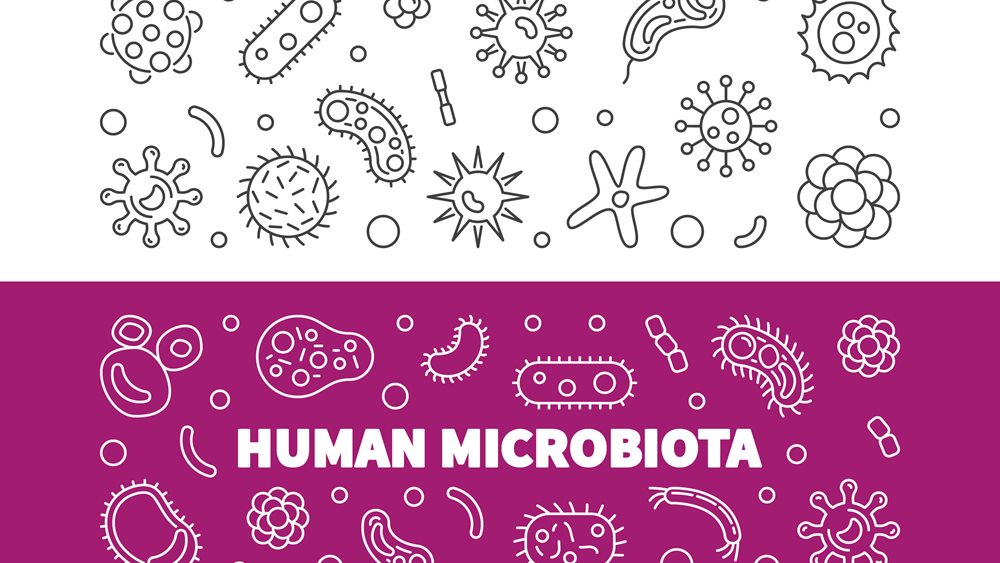 Τα… μικρόβια που θα σας βοηθήσουν να χάσετε βάρος