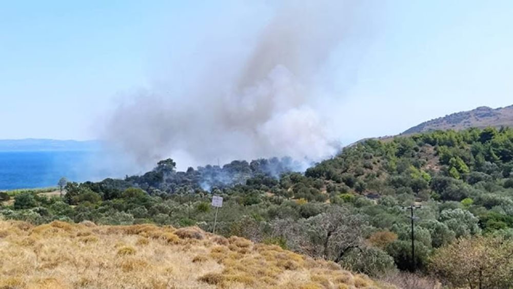 Λέσβος: Συνελήφθη 57χρονος που ομολόγησε τέσσερις εμπρησμούς