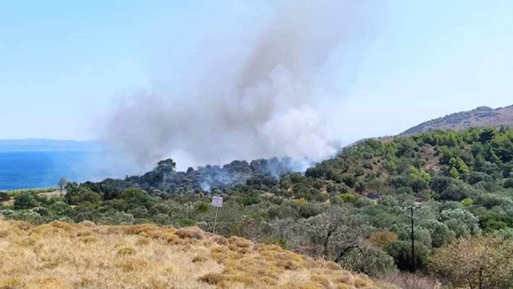 Λέσβος: Μεγάλη φωτιά στην περιοχή Εφταλού