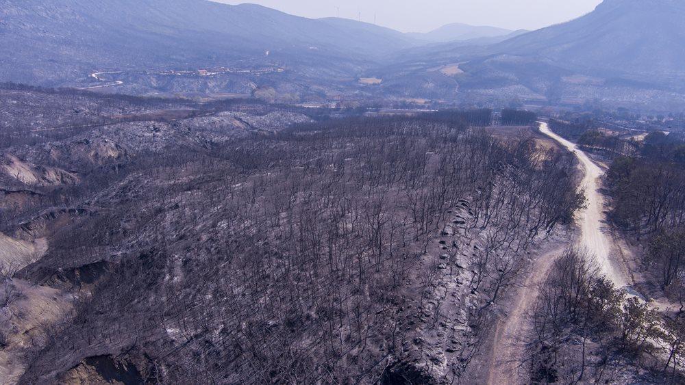 Φωτιά στον Έβρο: Η καμένη έκταση ξεπερνά σε μέγεθος την Νέα Υόρκη
