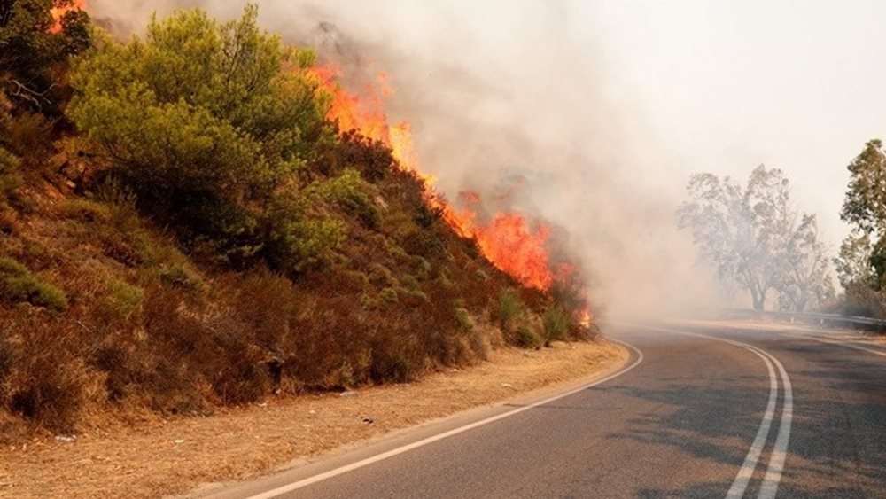 Θεσσαλονίκη: Φωτιά στην Αρέθουσα του δήμου Βόλβης