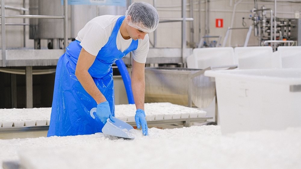 Γαλακτοβιομηχανία: Ο μεγάλος “τζόγος” με το πλεόνασμα σε ελληνικό αγελαδινό γάλα