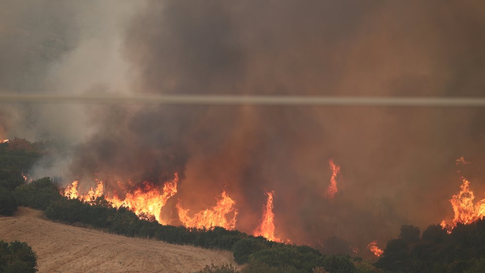 Ηράκλειο: Σε εξέλιξη επιχείρηση κατάσβεσης πυρκαγιάς στο Γεράκι του Δήμου Μινώα Πεδιάδος