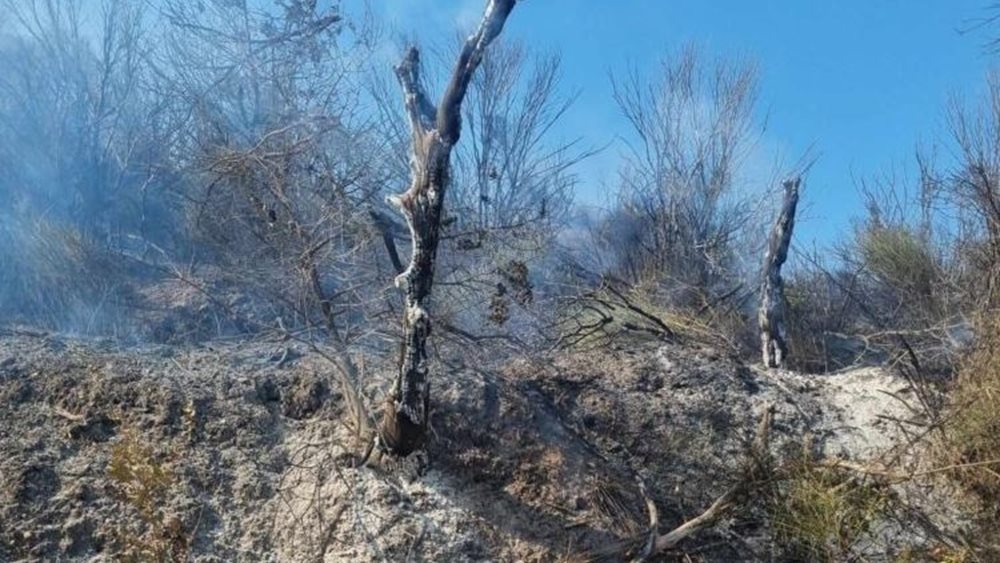 Οριοθετείται η φωτιά στο Καστράκι κάτω Γορτυνίας - Υπό μερικό έλεγχο η πυρκαγιά στο Αρσάκειο Ροδόπης