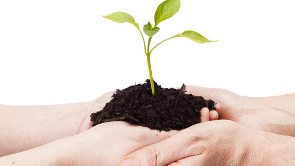 ΠΟΥ: Ένας στους έξι ανθρώπους παγκοσμίως εμφανίζει υπογονιμότητα