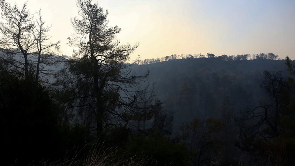 Σε ύφεση κι οριοθετημένη η φωτιά στην Εύβοια- 23.565 στρέμματα καμένης γης