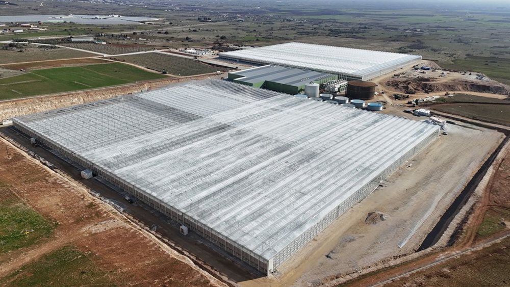 Wonderplant: Σε λειτουργία η mega θερμοκηπιακή επένδυση στη Δράμα