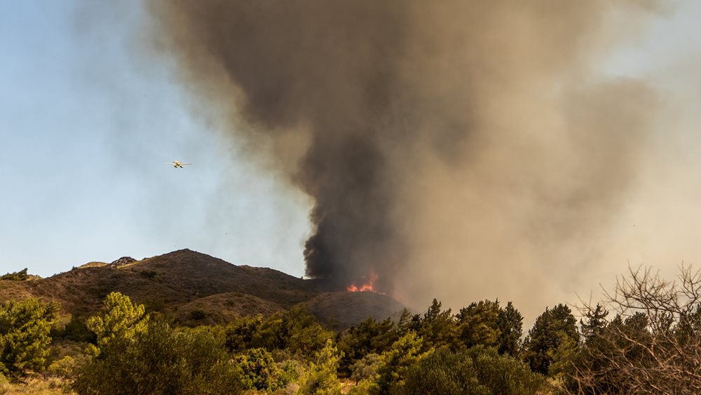Πυροσβεστική: 41 δασικές πυρκαγιές εκδηλώθηκαν το τελευταίο εικοσιτετράωρο