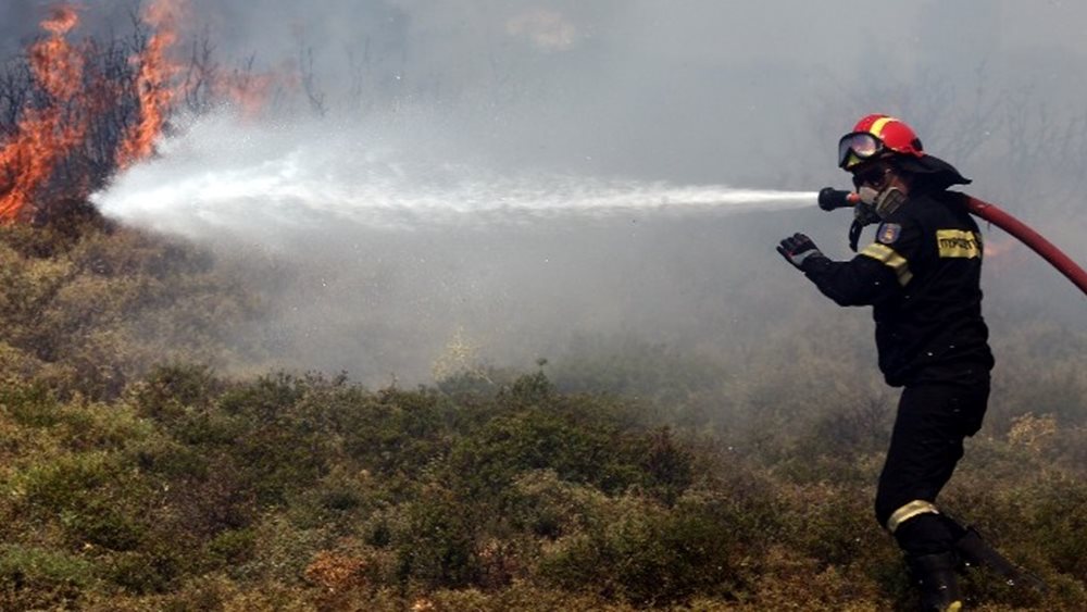 Αλιβέρι: Οριοθετήθηκε η φωτιά - Συνέλαβαν 75χρονο που &quot;κάπνιζε&quot; μελίσσια