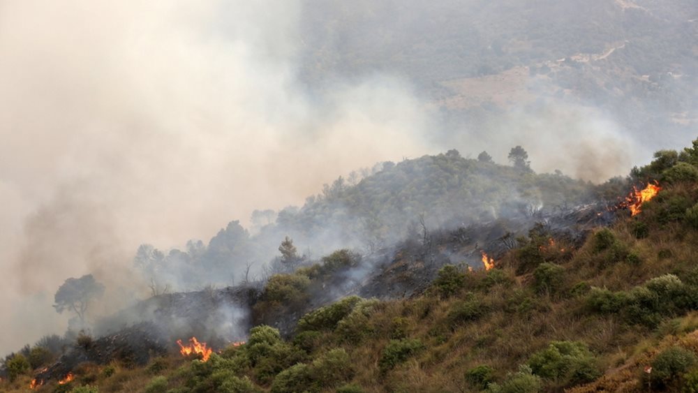 Πυρκαγια στην Αλγερια