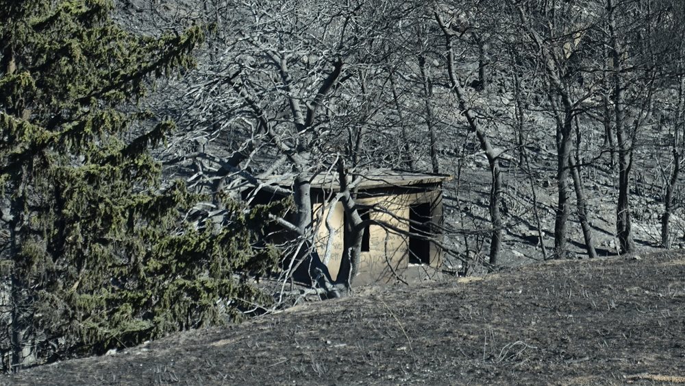 Στα 8,85 εκατ. ευρώ οι αποζημιώσεις των ασφαλιστικών για τις δασικές πυρκαγιές το καλοκαίρι του 2025