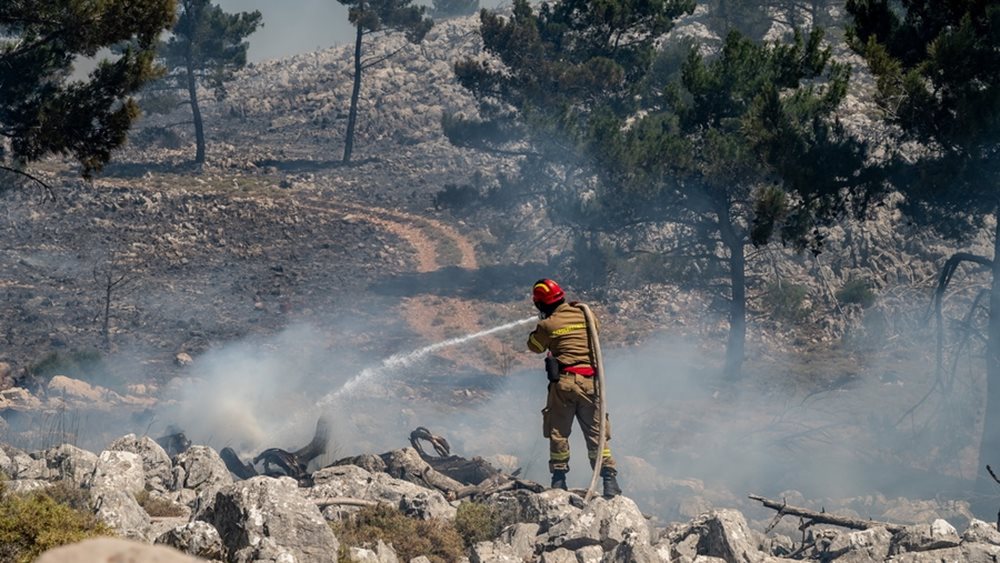 Θεσσαλονίκη: Φωτιά στο πρώην στρατόπεδο Ζιάκα