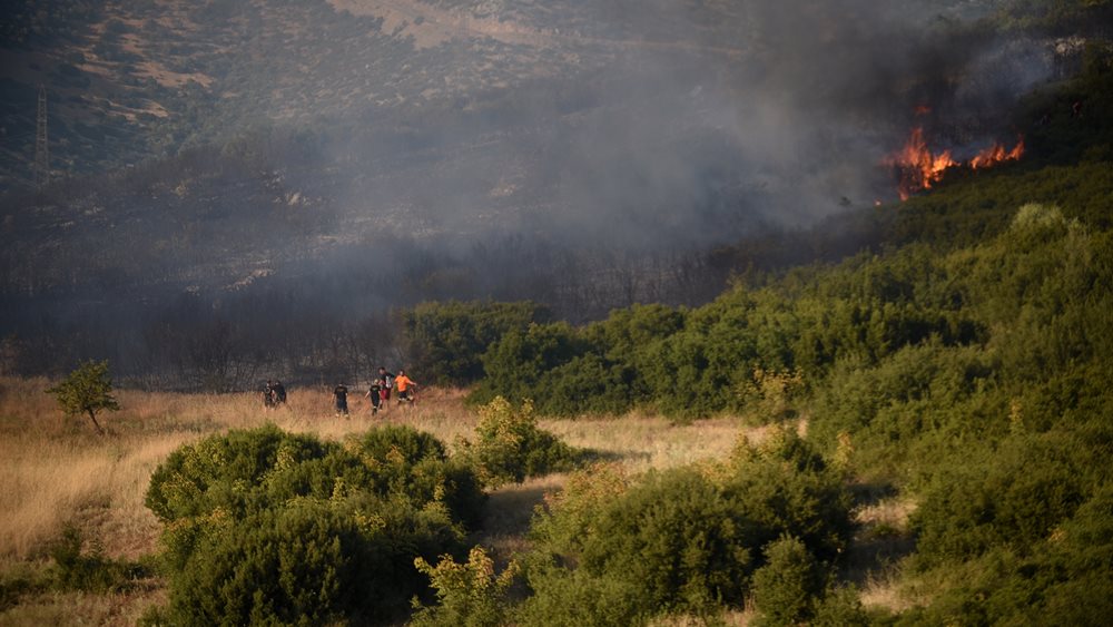 Σε ύφεση η φωτιά στην Λαμία