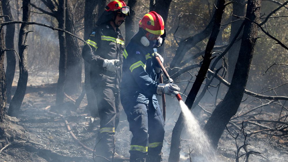 Υπό μερικό έλεγχο η φωτιά στην περιοχή Κούμανη της Ηλείας