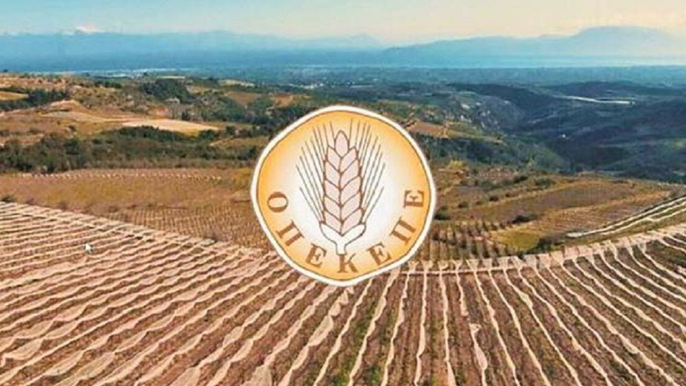 ΟΠΕΚΕΠΕ: Καταβολή 16 εκατ. ευρώ σε 105.000 δικαιούχους