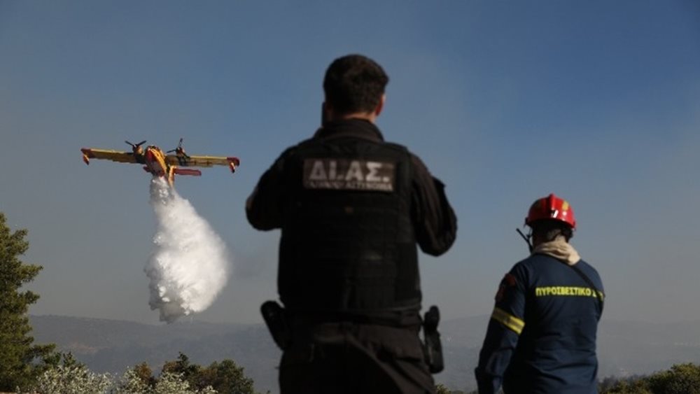 Φωτιά στην Εύβοια:Κάηκε επιχείρηση, σοβαρές ζημιές σε αυλές σπιτιών- Συνελήφθη 59χρονος που εκτελούσε εργασίες