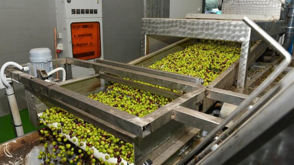 &quot;Λουκέτο&quot; σε τρία ελαιοτριβεία από την ΑΑΔΕ