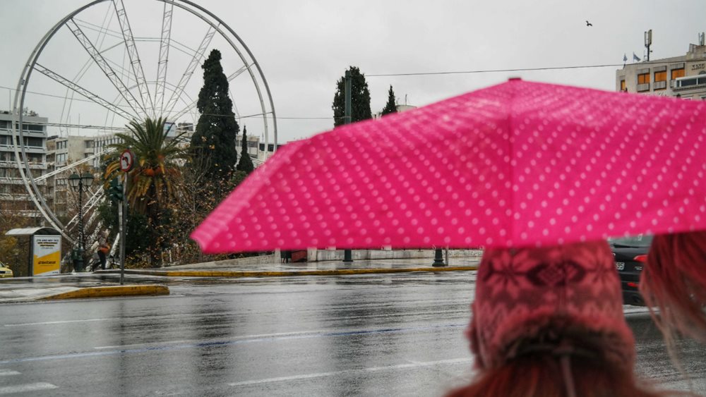 Παραιτήθηκε ο πρόεδρος του ΟΠΑΝΔΑ για τη &quot;Ρόδα&quot;