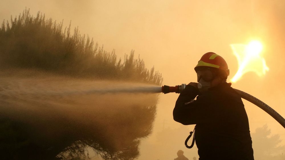 Πυρκαγιά σε δασική έκταση στον Βαρνάβα Αττικής - Άμεσα τέθηκε υπό έλεγχο