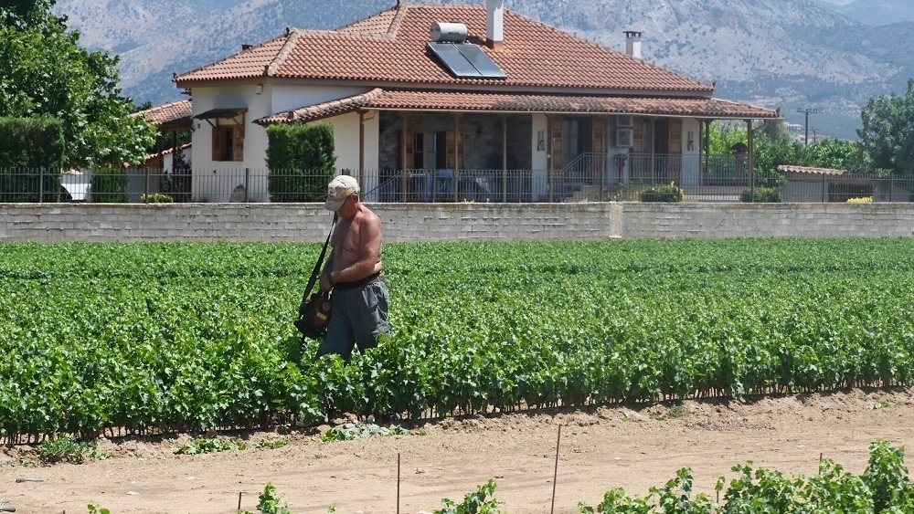 Πληρωμή 8,7 εκατ. ευρώ για εκτιμήσεις κι επανεκτιμήσεις ζημιών σε φυτική παραγωγή και ζωικό κεφάλαιο του 2024