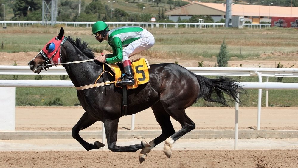 Iκανοποίηση στην ιπποδρομιακή κοινότητα από την ψήφιση των ρυθμίσεων για τον ιππόδρομο