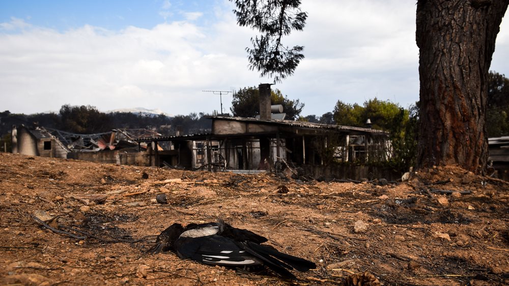 Ξεπέρασαν τους 200 βαθμούς οι θερμοκρασίες στην πυρκαγιά στο Μάτι