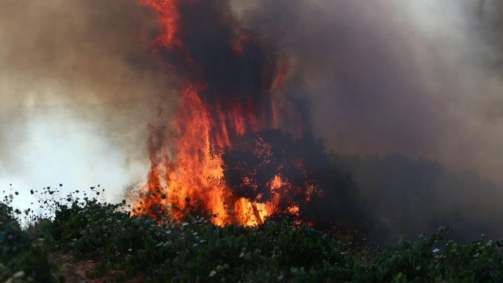 Υπό έλεγχο η μεγάλη πυρκαγιά στο όρος Κασιδιάρης στα Φάρσαλα