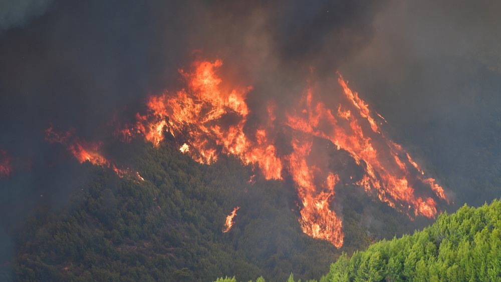Τρίπολη: Πυροσβεστικές δυνάμεις της Αρκαδίας αντιμετωπίζουν φωτιές που πέρασαν από την Μεσσηνία και την Ηλεία